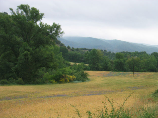 101 regnerischer_Tag