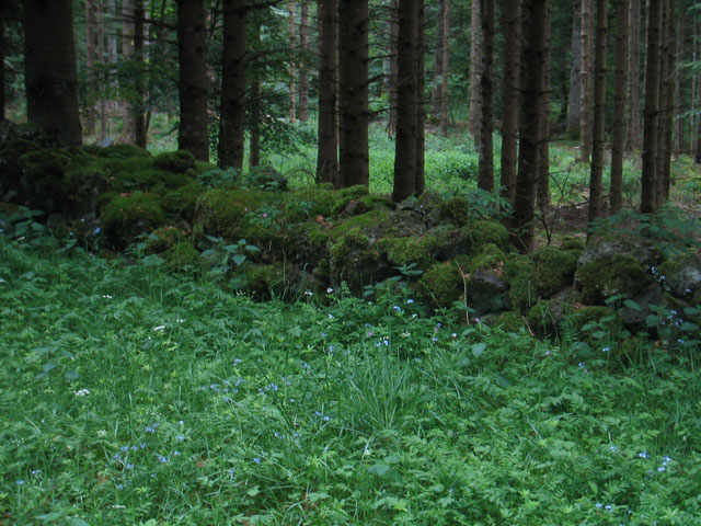 023 Vulkansteine_in_der_Auvergne