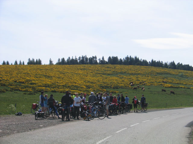 055 Gruppe_vor_Ginster