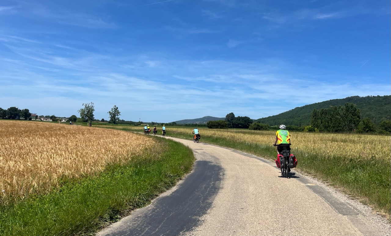 Bild6