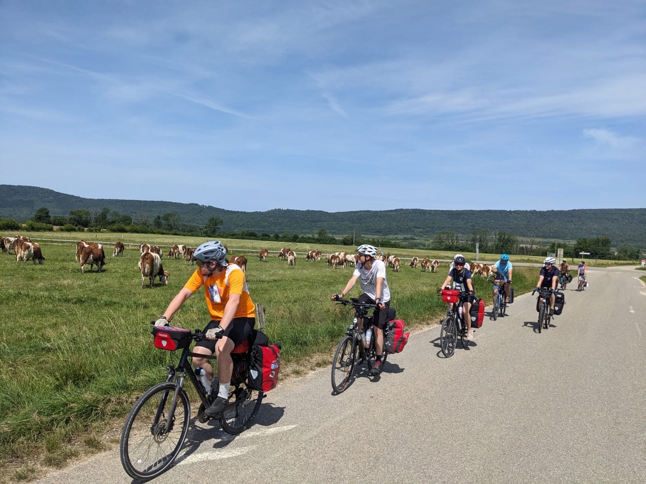 Bild3